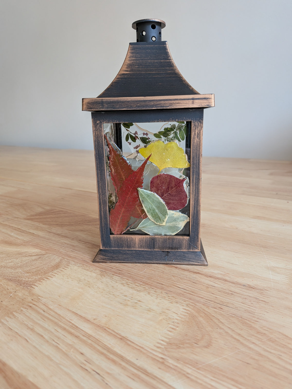 10/18/2026 Pressed Flower Art 2-4 PM (Lynchburg)